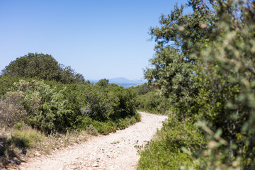Chemin de randonnée sur le Massif de la Gardiole (Occitanie, France)
