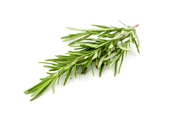 Rosemary herb leaves isolated on white