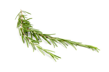 Fototapeta premium Rosemary herb leaves isolated on white
