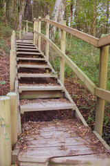 Wooden stairway in the forest. Empty outdoor staircase. Walkway in forest. Stairs with balustrade...