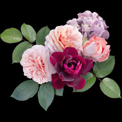 Roses and hydrangea isolated on black background. Floral arrangement, bouquet of garden flowers. Can be used for invitations, greeting, wedding card.