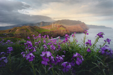 ponta de s&atilde;o louren&ccedil;o