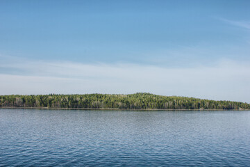 lake and forest