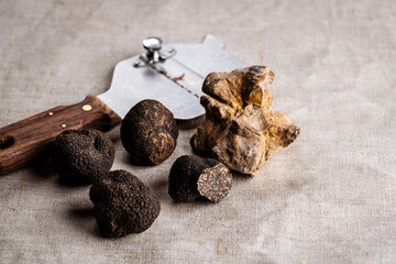Fresh aromatic whole and partly sliced Summer, Black Truffle, White Truffle mushroom with shaver or...
