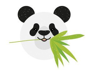 cute panda bear