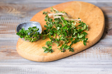 Still-life. Thyme on a wooden background. Herbs