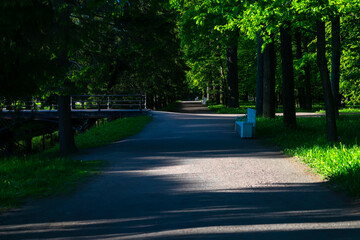 Summer landscape. Beautifully trimmed lawns, trees and metal benches