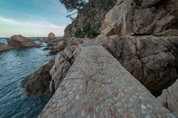 Seastars ornaments at the runway known as "cami dels pontets" in Cala Canyet