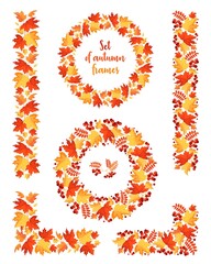Set of frames and dividers from autumn leaves. Decor elements from maple leaves, rowan leaves and berries. Design template for autumn holidays, congratulations, invitations. Vector illustration