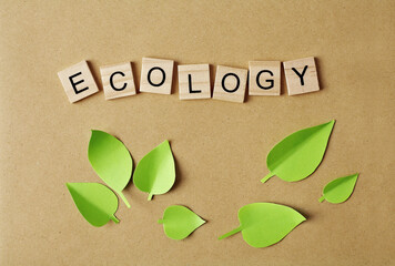 think green. ecology concept