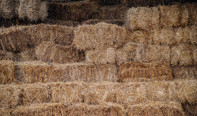 Bales of hay or straw are stacked with a wall. Agriculture and farming.