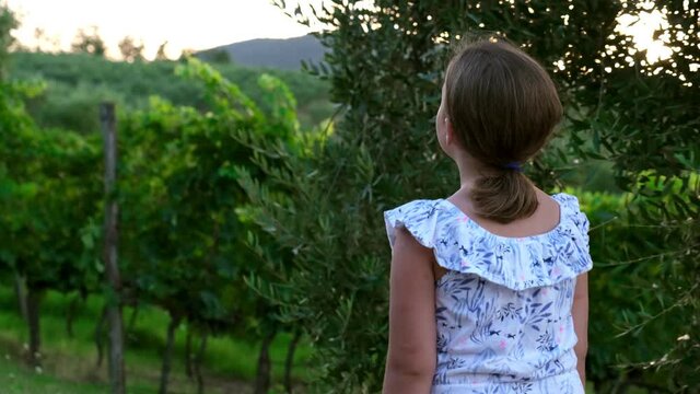 Caucasian Girl Walking Through Tuscan Vinery and Olive Trees Plantation