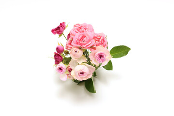 Fototapeta premium 白背景の薔薇の花束 