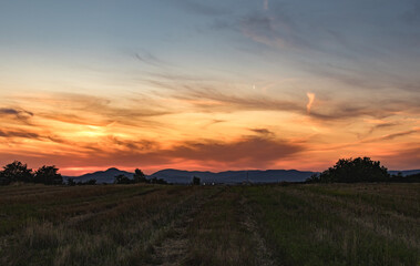 Fototapeta na wymiar Sunset over the field