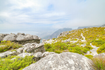 Fototapeta na wymiar Beautiful views, images and birds on top of Table Mountain, Cape Town, South Africa