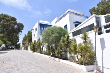 sidi bou said city,  tunisia, Africa, medina, 