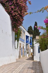 sidi bou said city,  tunisia, Africa, medina, 