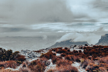 Beautiful views, images and birds on top of Table Mountain, Cape Town, South Africa