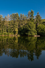 Lake at Umbra forest