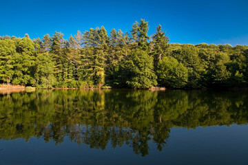 Lake at Umbra forest