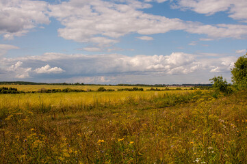Fototapeta premium Russian field sky