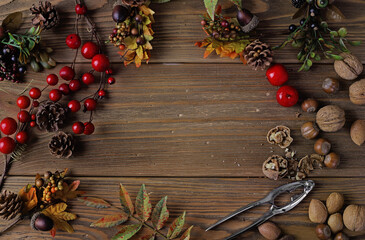 beautiful autumn leaves, nutcracker, walnuts on wooden background