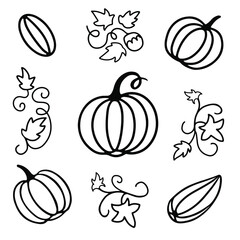 Pumpkin harvest set with hand drawn pumpkin fruits, leaves isolated on the white background. Vector illustration in doodle style.