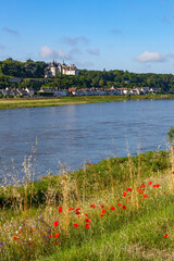 Scene in Blois France featuring the river