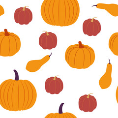 Vector seamless pattern with squash. Flat design. Cute texture with various pumpkins on white backdrop