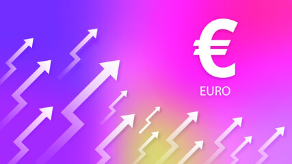The Rising Euro