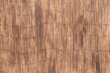 Reed wall background texture. Looks like bamboo. Close up