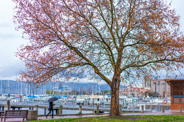 カナダ、ブリティッシュコロンビア州、ケロウナの観光名所を旅行する風景 Scenes from a trip to the sights of Kelowna, British Columbia, Canada 