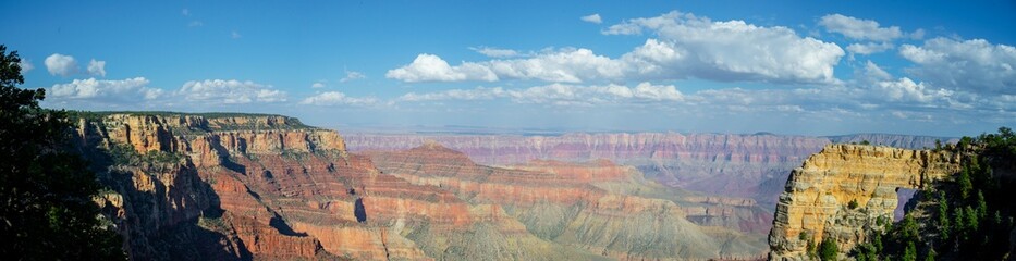 Fototapeta na wymiar Grand Canyon Panoramic 