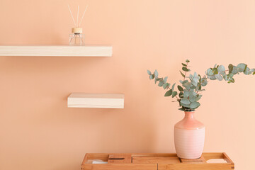 Vase with eucalyptus branches on tray near color wall