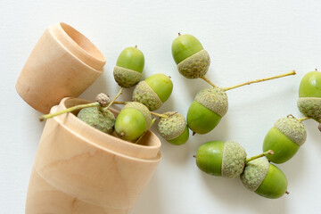 green acorns spilling out of a wooden container