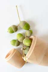 green acorns spilling out of a wooden container