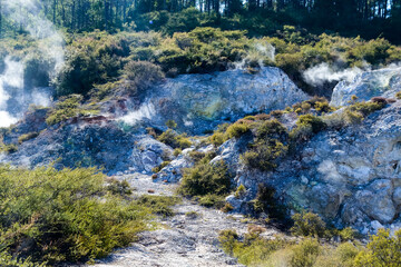 Naklejka na ściany i meble Geothermal Landscape with hot boiling mud and sulphur springs due to volcanic activity in Wai-O-Tapu, Thermal Wonderland New Zealand