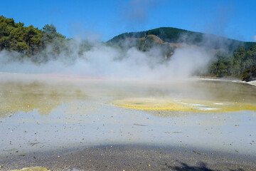 Geothermal Landscape with hot boiling mud and sulphur springs due to volcanic activity in Wai-O-Tapu, Thermal Wonderland New Zealand