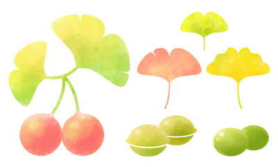 イチョウの葉っぱと木の実のセット 水彩風