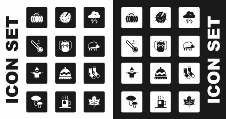 Set Storm, School backpack, Meteorology thermometer, Pumpkin, Hedgehog, Chestnut, Socks and Scarecrow icon. Vector