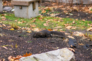 カナダ、オンタリオ州トロントの観光名所を旅行している風景 Scenes from a trip to a tourist attraction in Toronto, Ontario, Canada. 