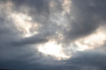 Bird Flys Through Dark Clouds while Sun Appearing
