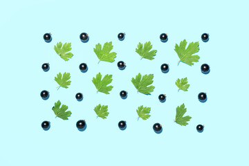 Ripe black currant on color background
