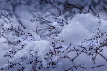 Winter wonderland scene and landscape Ontario Canada