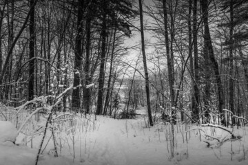 Winter wonderland scene and landscape Ontario Canada
