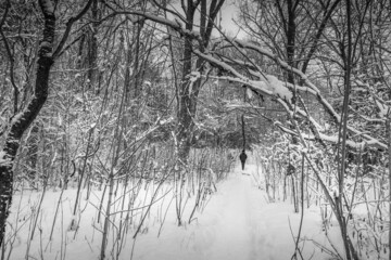 Winter wonderland scene and landscape Ontario Canada
