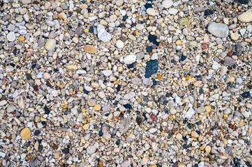 shells and rocks background