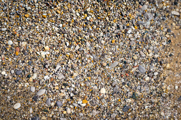 background of shells