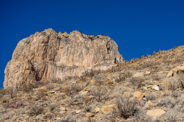 Barbury Sheep Herd and El Capitan In Guadalupe Mountains