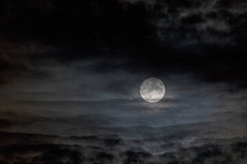 Naklejka na ściany i meble full moon in thin clouds